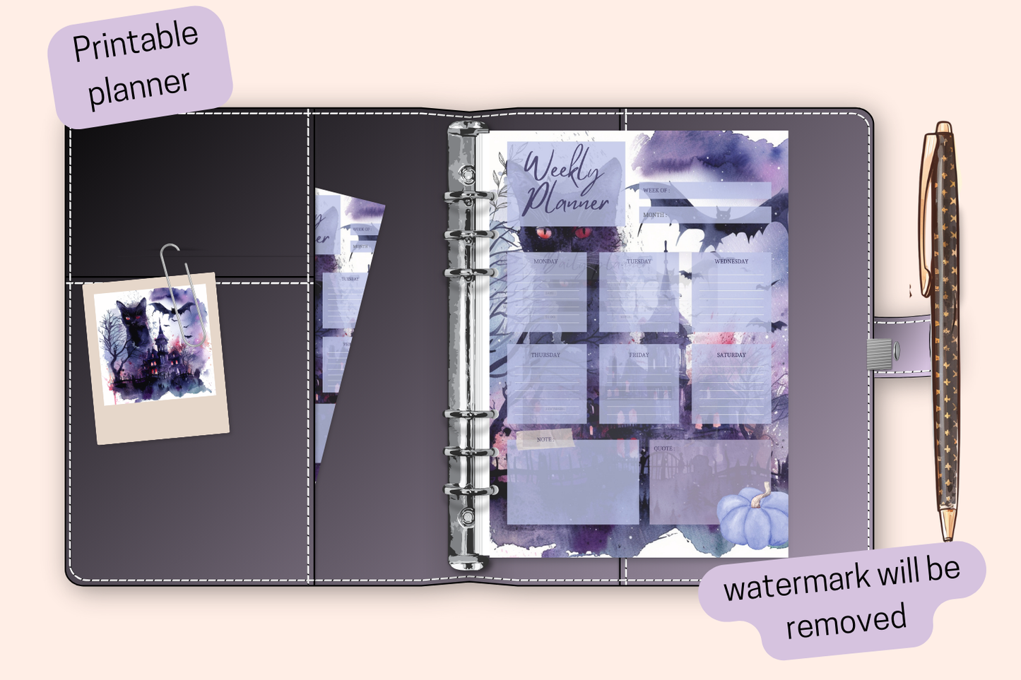 Bonus divider page included with the Halloween planner, featuring a matching purple and black cat design.