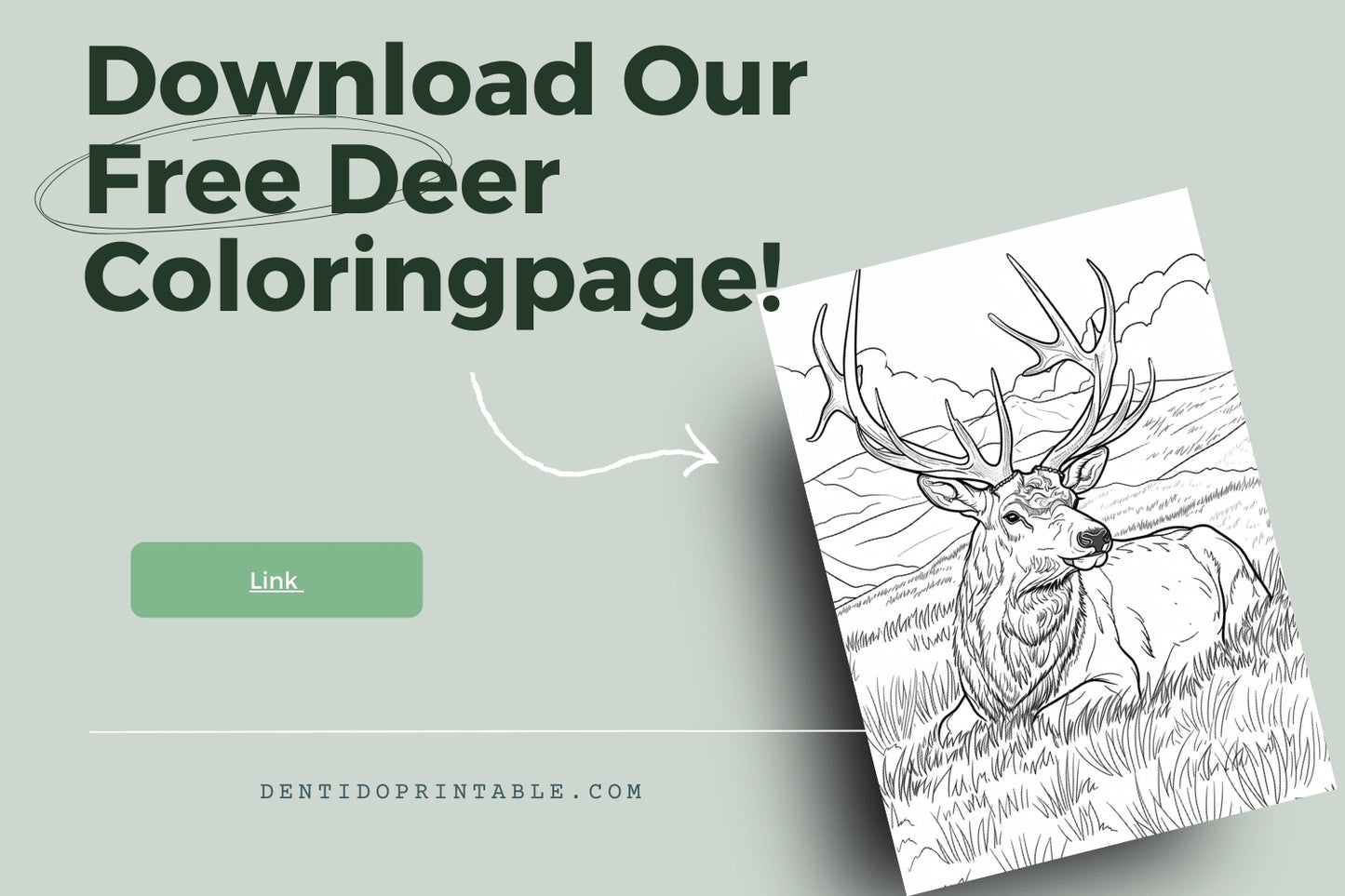 Color the Majestic Deer!