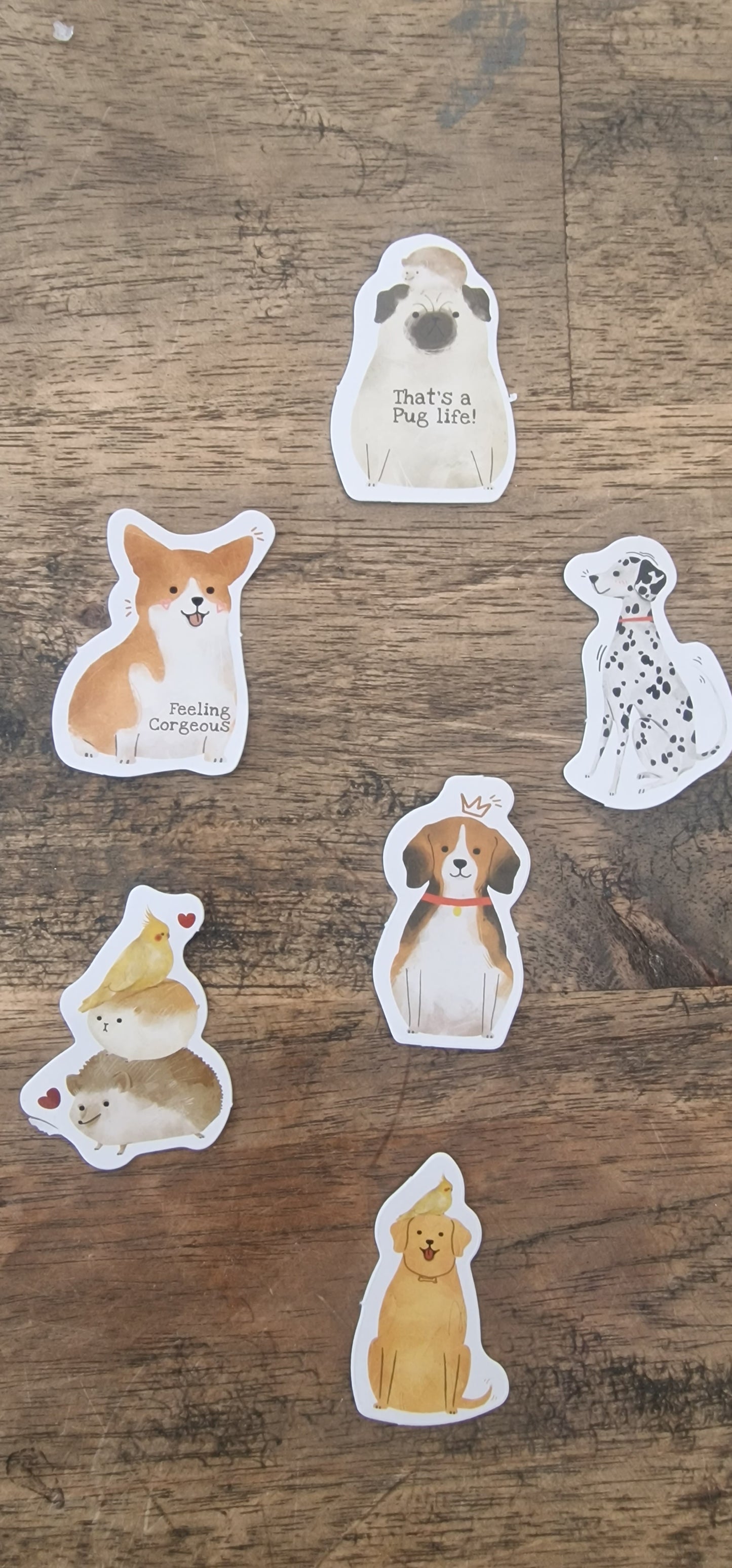 Paws & Claws Sticker Set - 6 Cute and Fun Stickers