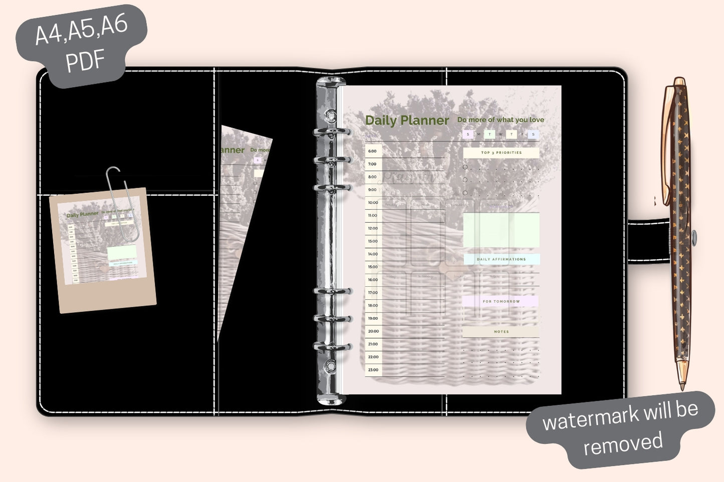 Classic Shabby Chic Daily Planner displayed in a packaging format.